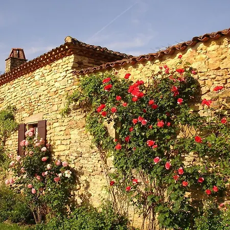 Prázdninový dům Maison De Vacances - Loubejac Loubejac